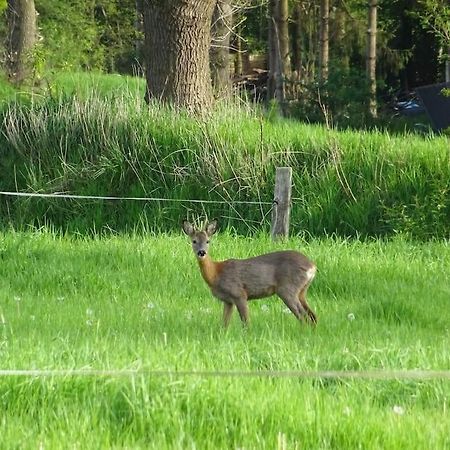 Charmante Ferienwohnung In Idyllischer Lage Jever Εξωτερικό φωτογραφία